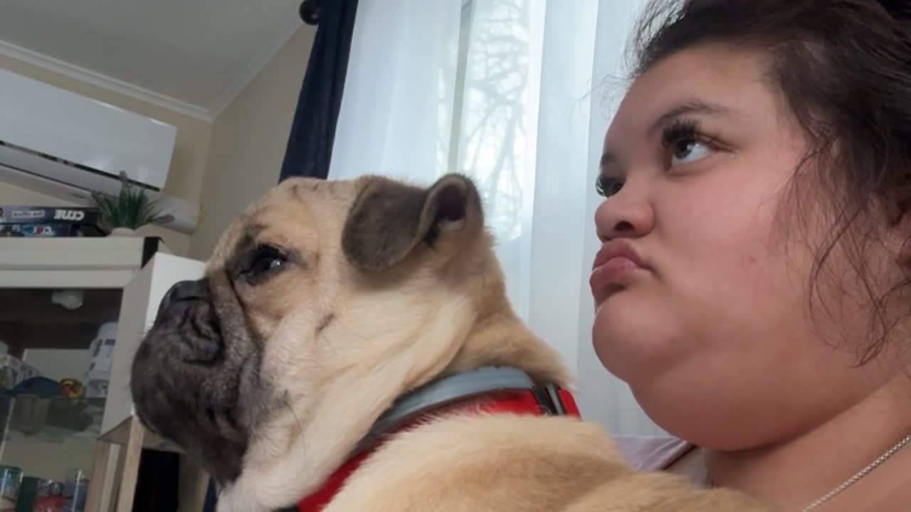 Owner Shares Side Profile With Pet Pug