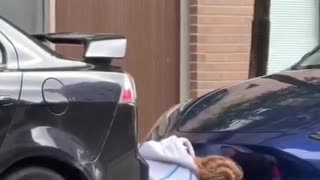Just when you thought you'd seen every type of Tesla protestor there is...
