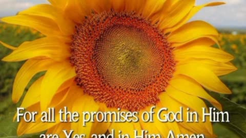 🌻 2 Corinthians 1 : 20 - G-d's promises are YES and AMEN".