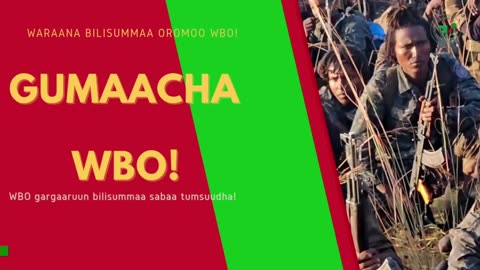 Gabaasa Gumaacha ONM-ABO Caamsaa 30-2025 itti dhiyaadhaa!