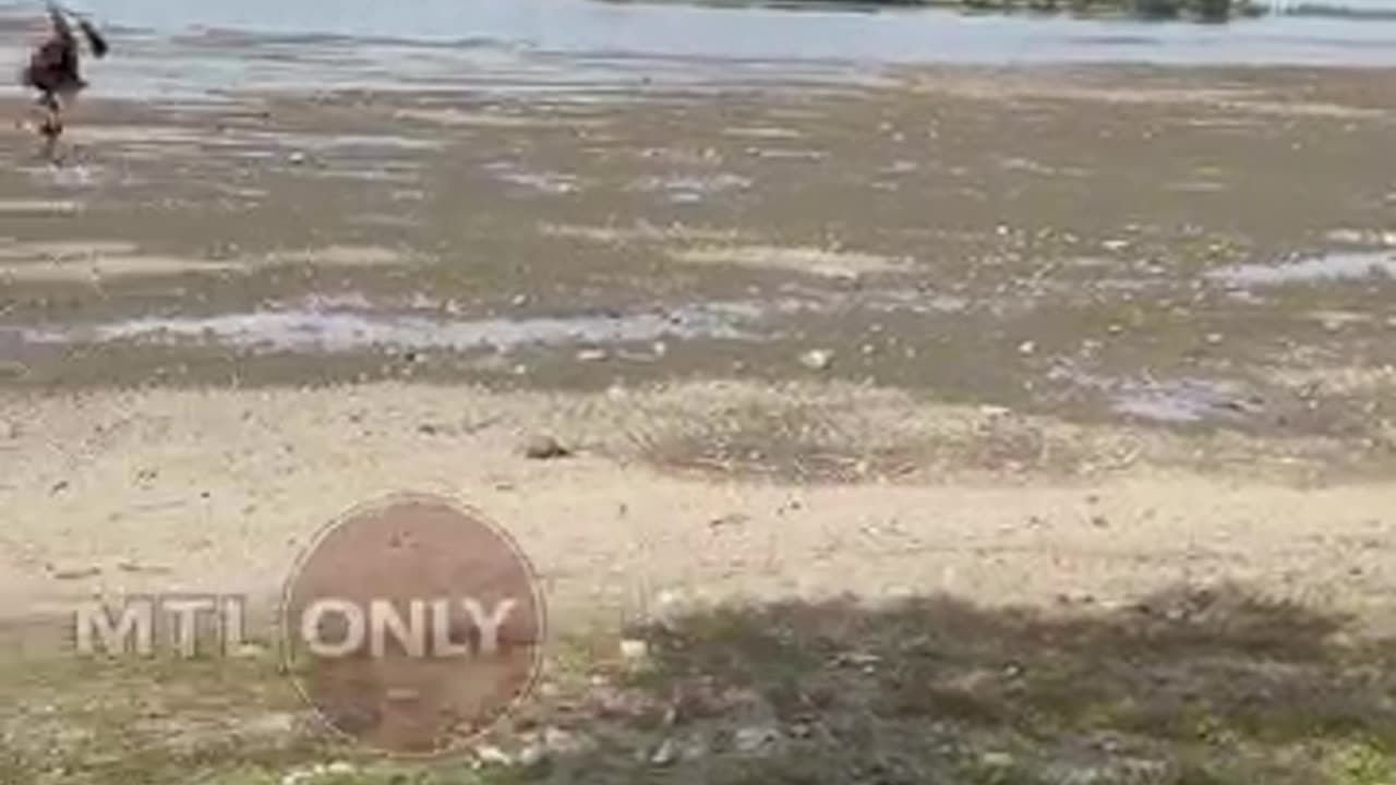 MONTREAL..GEOENGINEERED..DROUGHT...9/2025