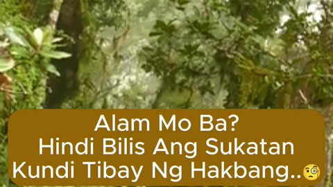 Hindi Bilis Ang Sukatan