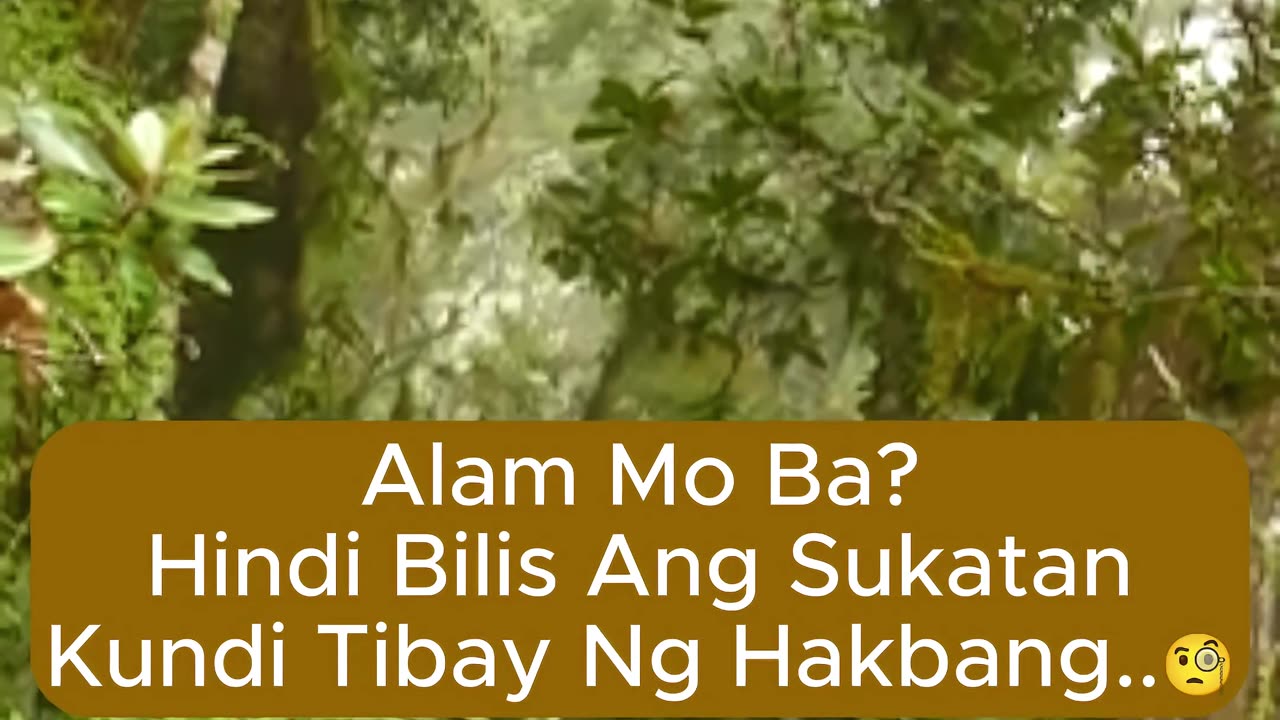 Hindi Bilis Ang Sukatan