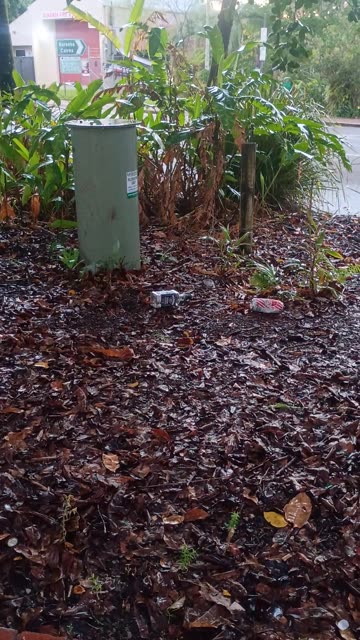 23.12.2025 The Aftermath