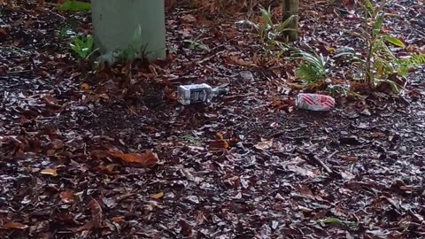 23.12.2025 The Aftermath