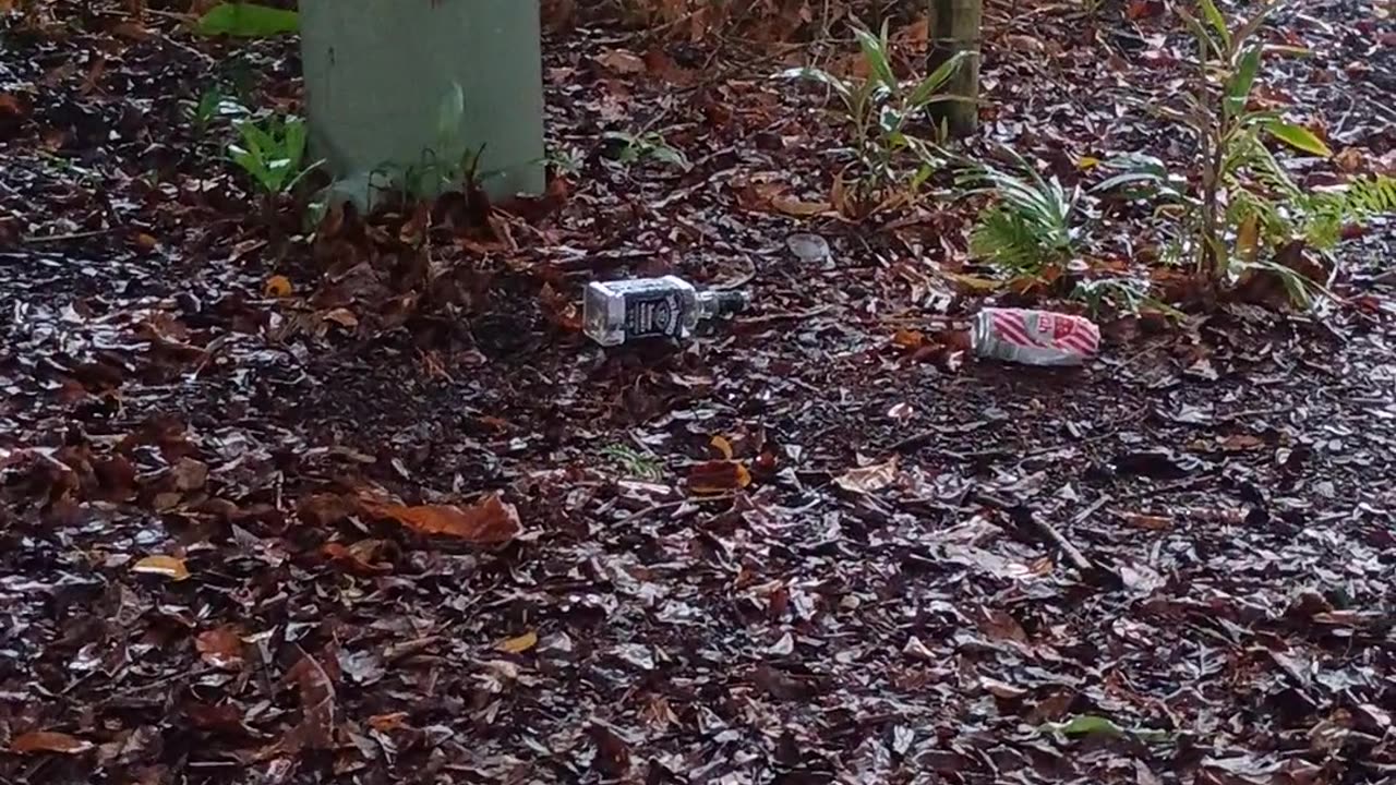 23.12.2025 The Aftermath