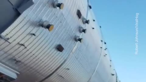 😮✨ Meet One of the Largest Trucks in the World! | FeedMyCuriosity