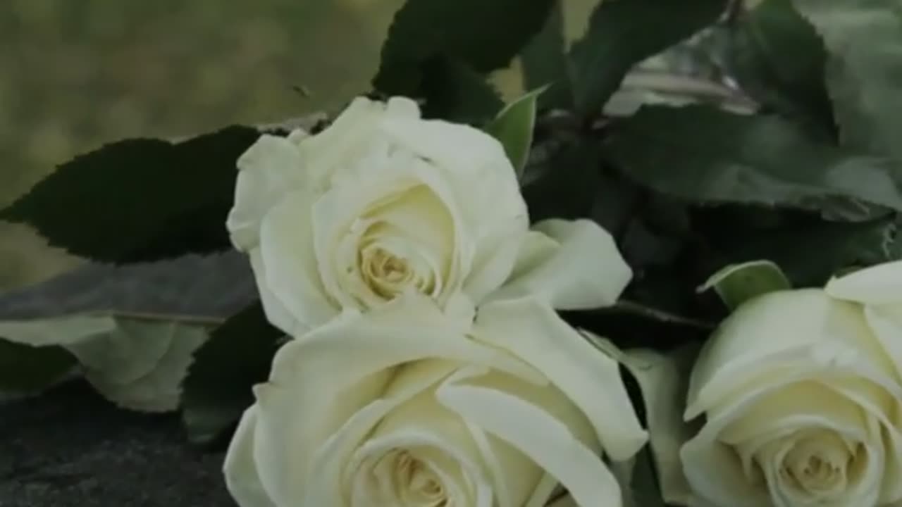 Enid Goodnight I Love You X