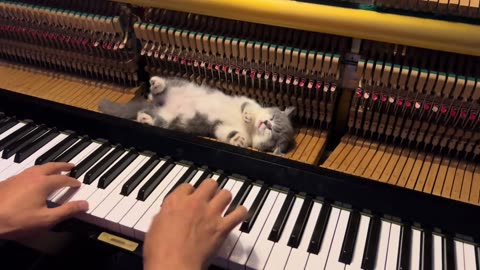 If you feel happy you clap your hands, if you feel happy you pat me