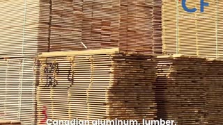 Mark Carney's New Propagandized Video