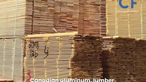 Mark Carney's New Propagandized Video