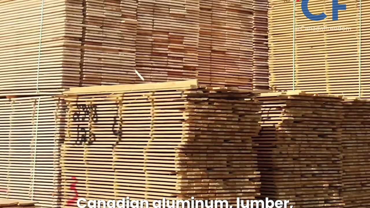 Mark Carney's New Propagandized Video