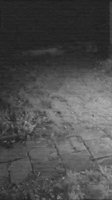 Dog Reacts to Ghost 😱 #horror #scary #cctvfottage