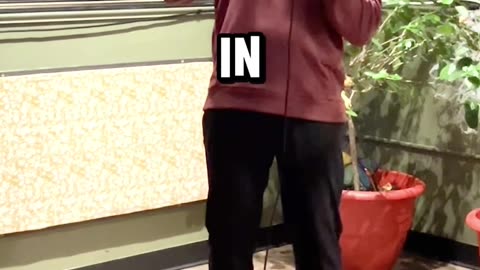 Preparing My Kids for My Eventual Senility, Live