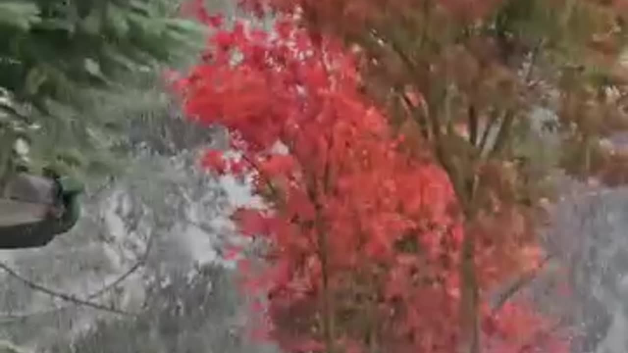 snow coming early this year