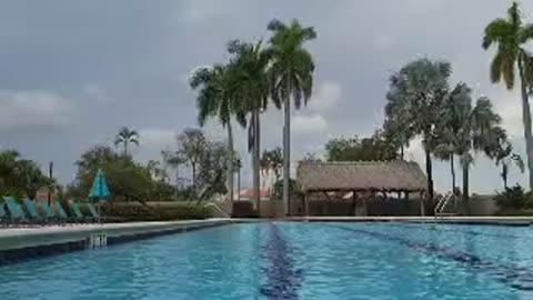 Freestyle Swim Form & Time 10 Laps (of 30)