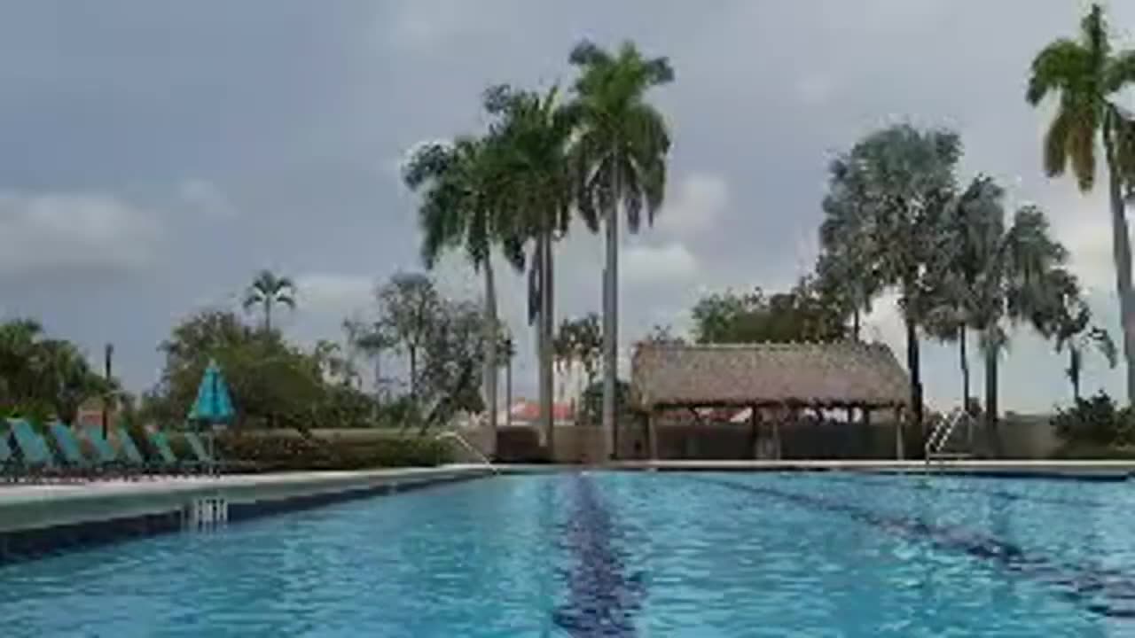 Freestyle Swim Form & Time