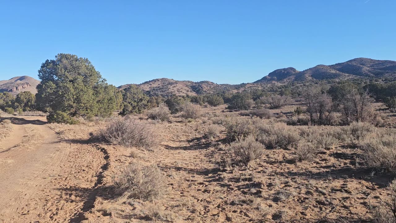 Good firewood morning!