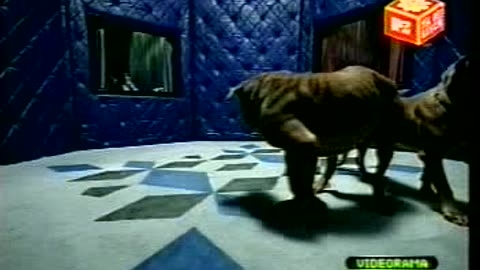 Control Machete - Amores Perros