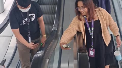 Chill stray cat enjoying life in the middle of a shopping center!