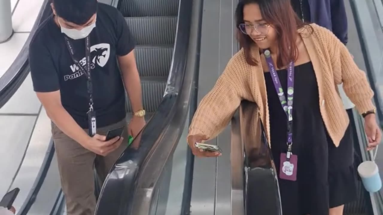 Chill stray cat enjoying life in the middle of a shopping center!