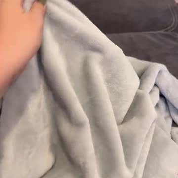 El bombón de mami ❤️#blueandtan #frienchi #bulldogsoftiktok