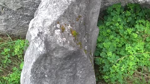 This Rock Fooled Everyone for 30 YEARS!