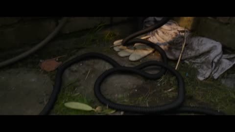 Final Destination Bloodlines | Official MovieTrailer