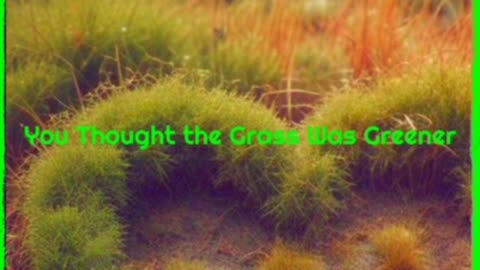 You Thought The Grass Was Greener