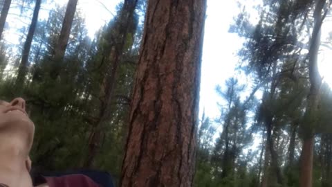 4 tab trip (absolutely fuckin amazing) but then I run into a grizzly bear!