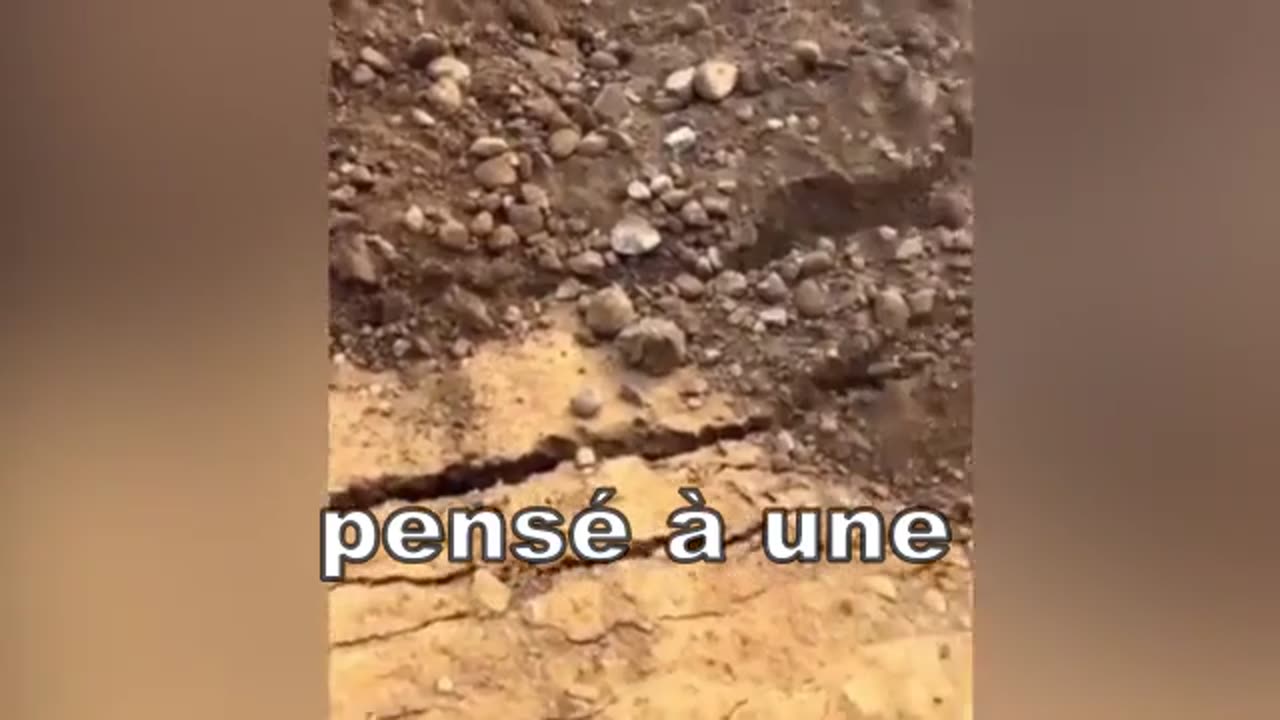 Les observations les plus étranges qui ont été filmées !