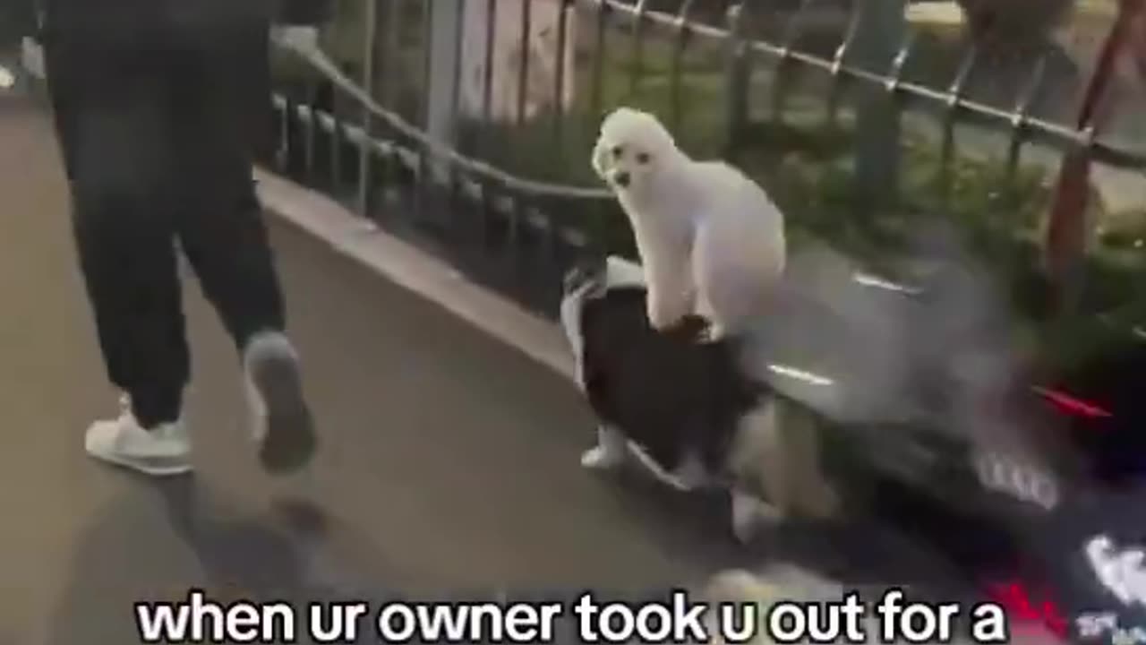 She looked back like, "mind your business"