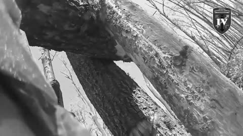 💥🏹 Ukraine Russia War | Ukrainian Special Forces in Kursk | RCF