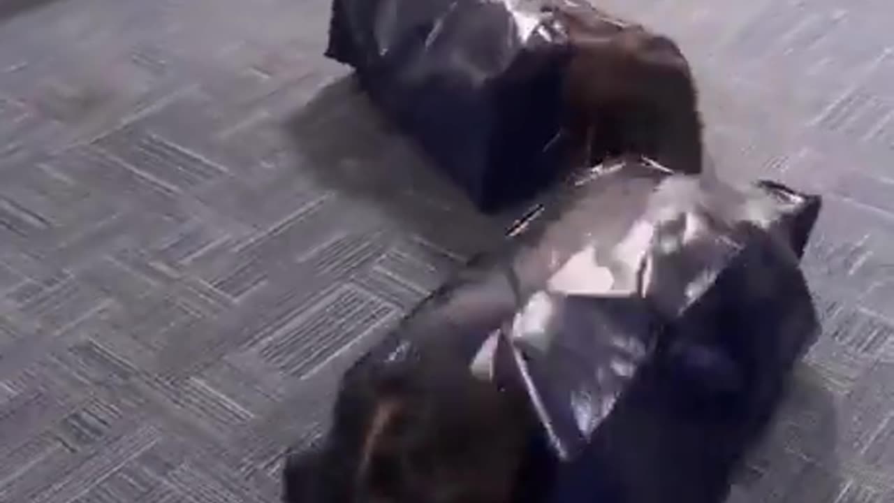 Hallway Race