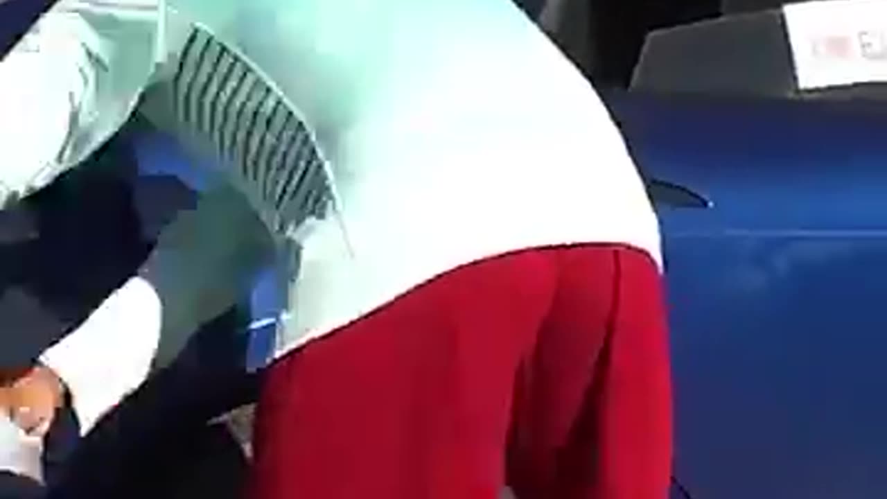 Tesla's Revenge