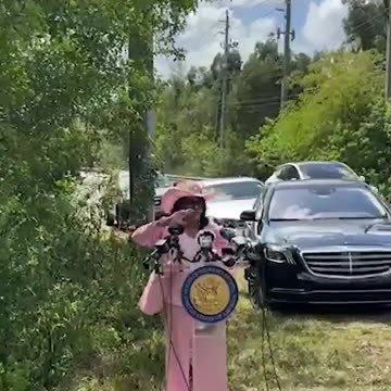 Democrat Calls for a Uprising Against Trump to Protect Criminal Illegal Aliens