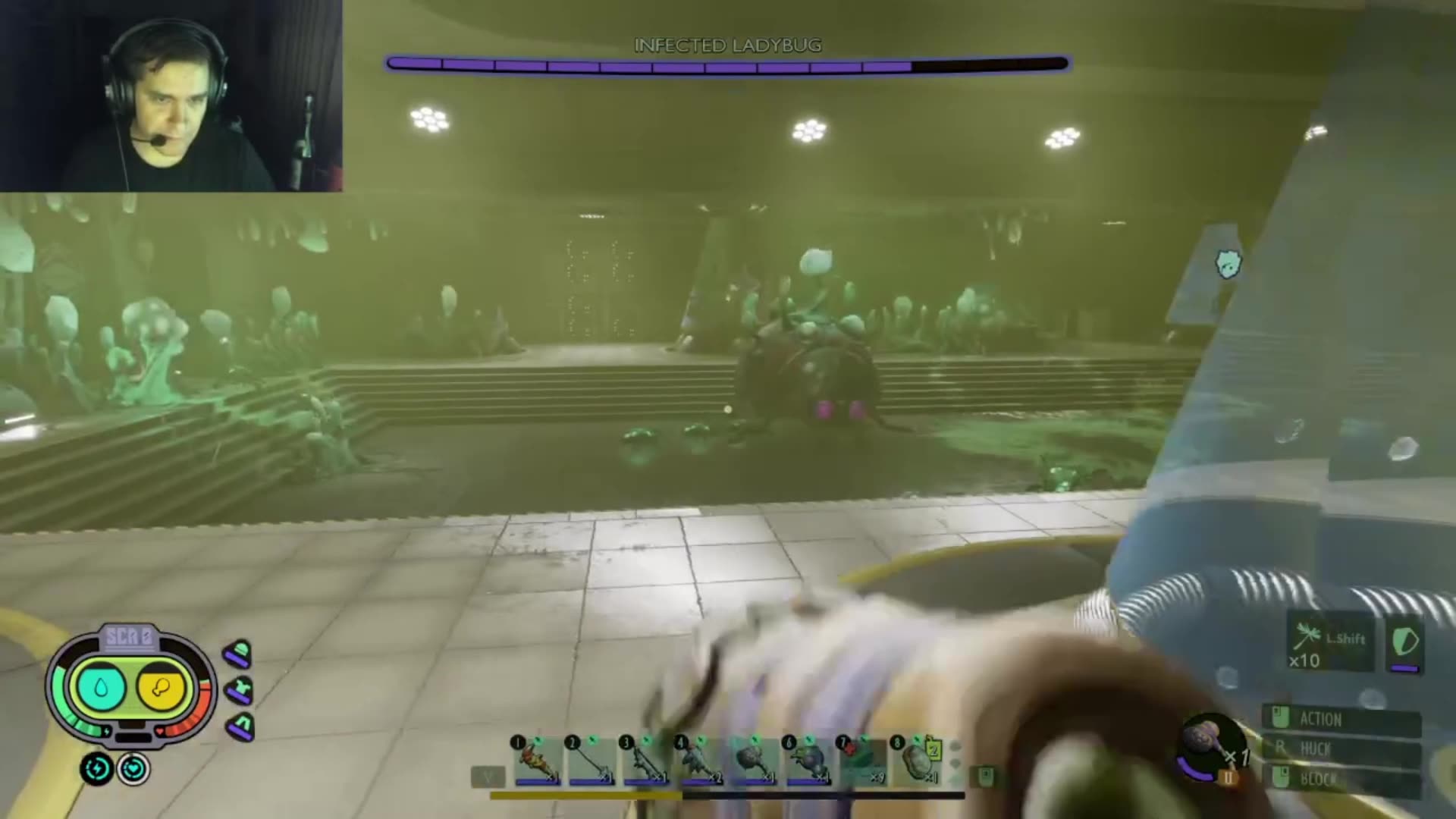 Haze Lab, Lady Bug Boss