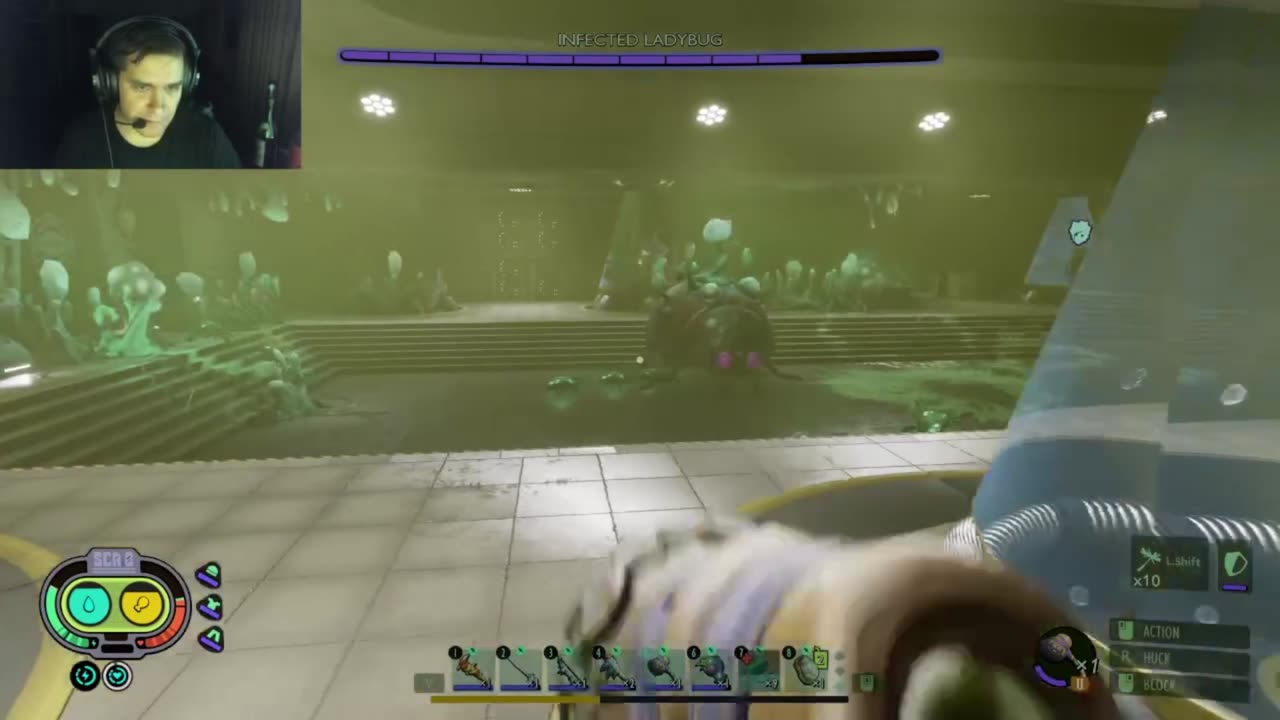 Haze Lab, Lady Bug Boss