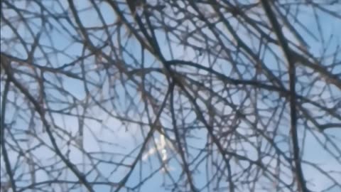 PLANE OVER THE FIRMAMENT