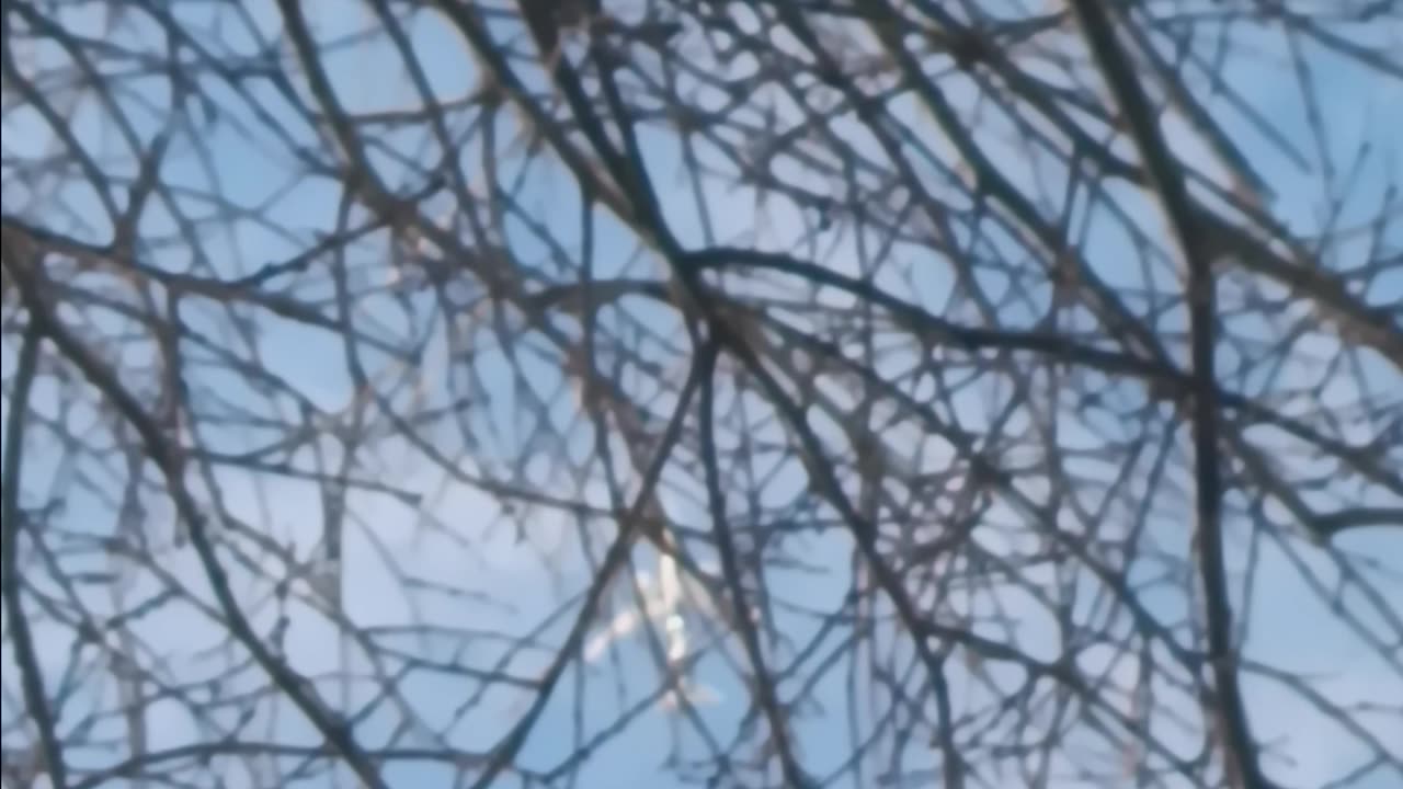 PLANE OVER THE FIRMAMENT