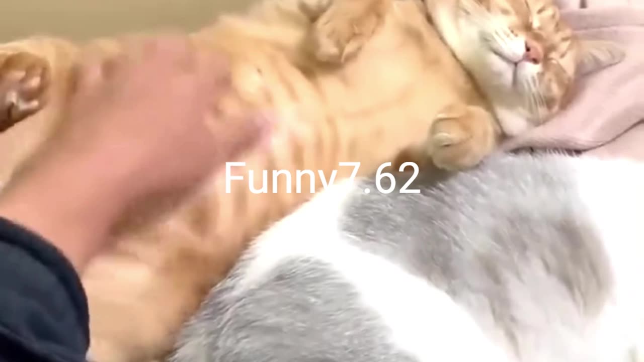 When Minnie wakes up