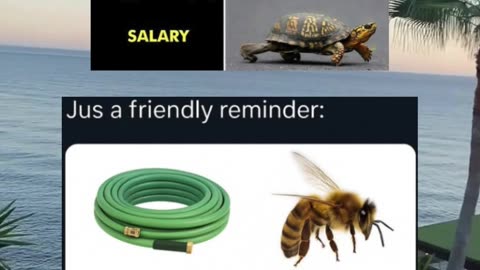 #funny #memes #fyp