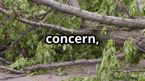 Storm Havoc in St. Louis: Tornado Aftermath