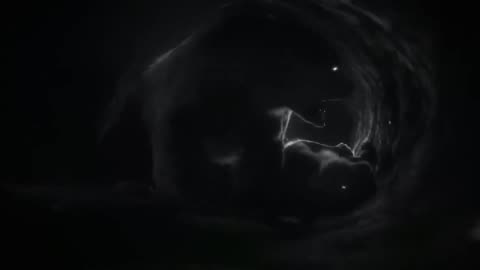 Prehistoric Ancient Animal Facts To Fall Asleep To