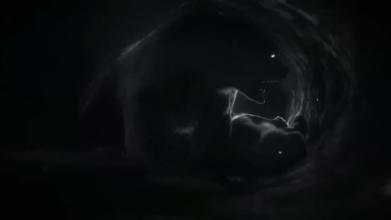 Prehistoric Ancient Animal Facts To Fall Asleep To
