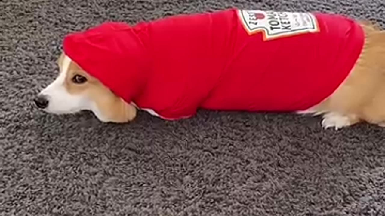 Imma POTATO!