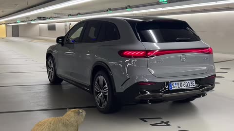 🚀💨 This Mercedes-AMG GT's 0-60 in 3.5 Seconds is PURE Symphony! | LuxurySportsCars