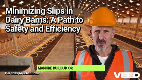 Slip-Free Dairy Barns:Safety Tips