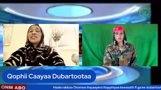 Qophii Caayaa Dubartoota ONM-AB0 Adoolessa6-2025 itti dhiyaadhaa!