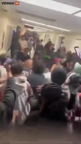 "SILVERBACK APE: ATTACKS A "SHE BOON APE"